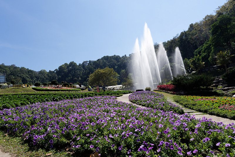 常に高く吹き上げている噴水。SNS映えが狙えそう