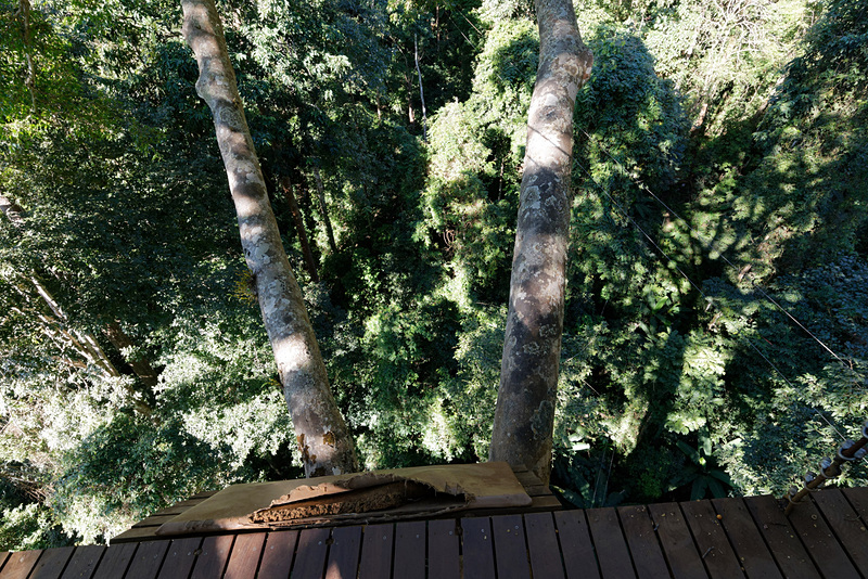 このコースの中で最も高いところにあるステーション。筆者自身それなりに高いところには耐性があると思っていたが、足場が狭いうえに木造ということもあって、ちょっと膝が笑っていたのはここだけの秘密