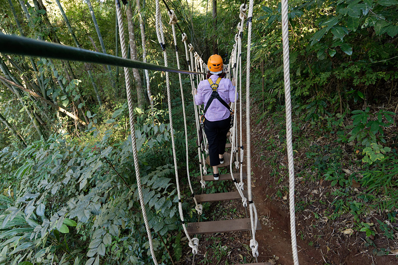 ブランコ橋やスケートボード……