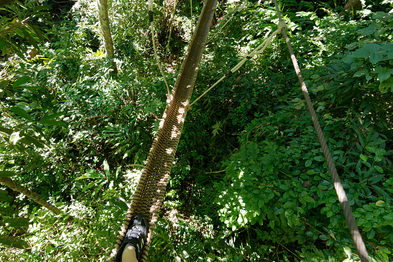 片足分の幅しかない橋を、なぜかスタッフに揺らされながら歩いたりする