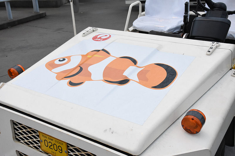 カクレクマノミ