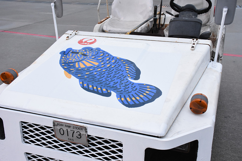 ナポレオンフィッシュ