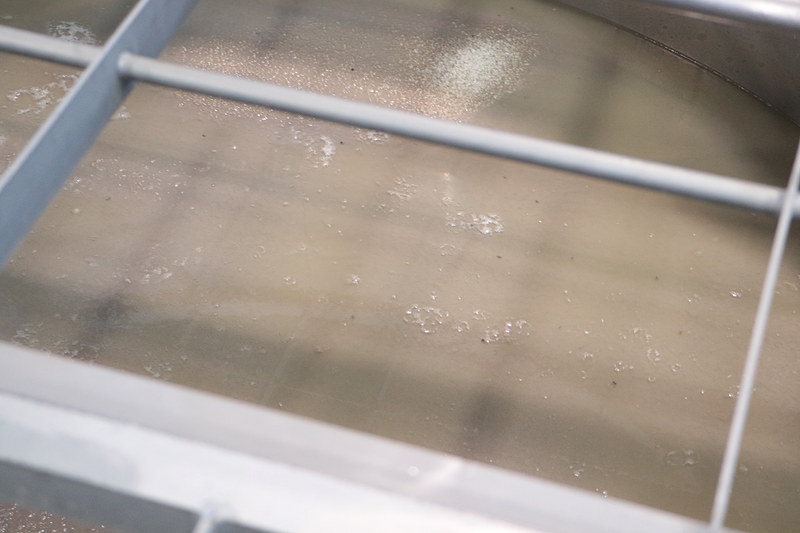 「一次仕込み」として「霧島裂罅水（きりしまれっかすい）」と呼ばれる地下水と酵母菌が加わり5日間寝かされて「酒母」と呼ばれる「1次もろみ」ができあがる