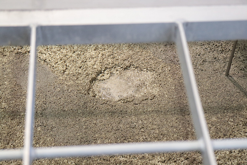 「一次仕込み」として「霧島裂罅水（きりしまれっかすい）」と呼ばれる地下水と酵母菌が加わり5日間寝かされて「酒母」と呼ばれる「1次もろみ」ができあがる