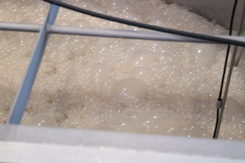 「一次仕込み」として「霧島裂罅水（きりしまれっかすい）」と呼ばれる地下水と酵母菌が加わり5日間寝かされて「酒母」と呼ばれる「1次もろみ」ができあがる