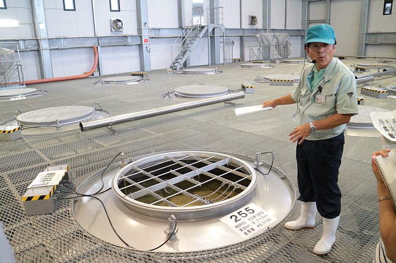 酒母に蒸したサツマイモと、霧島裂罅水を加え約8日間で「2次もろみ」となる。発酵が進みアルコールのほのかな香りとともに発熱していることも感じる