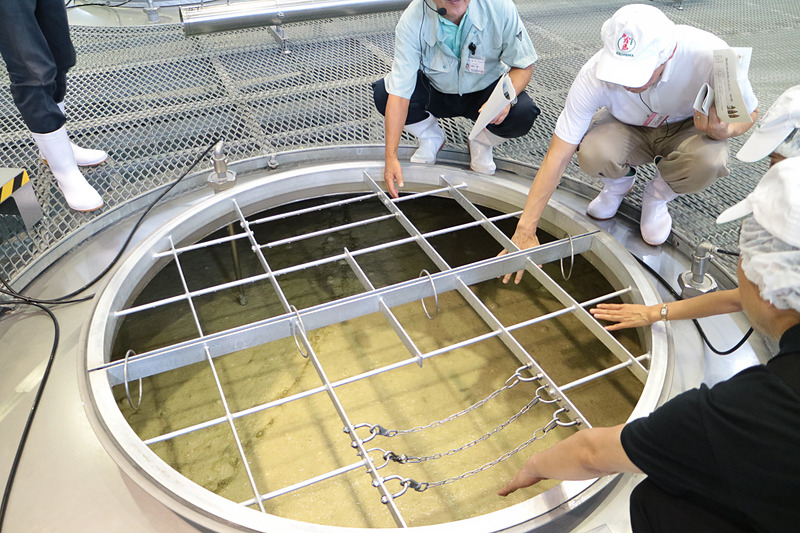 酒母に蒸したサツマイモと、霧島裂罅水を加え約8日間で「2次もろみ」となる。発酵が進みアルコールのほのかな香りとともに発熱していることも感じる