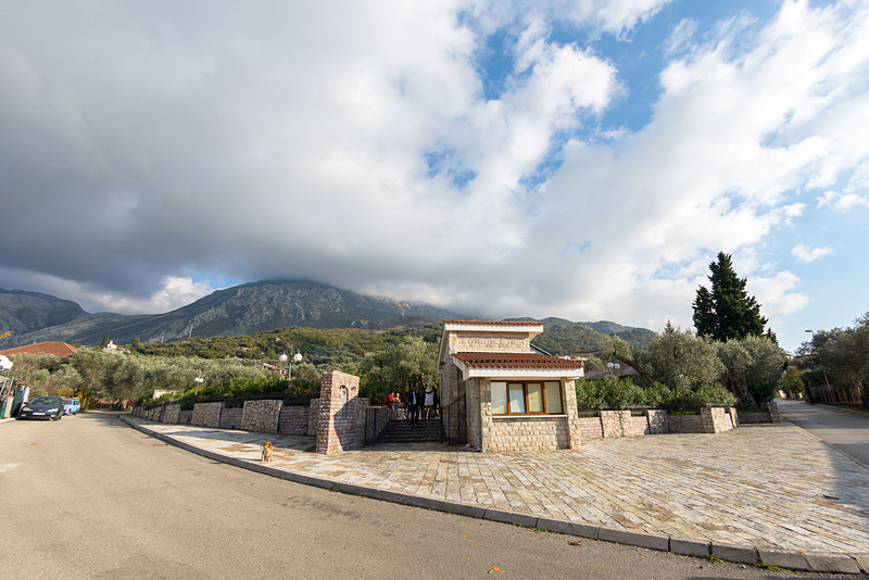 なんの変哲もない通りに世界最古という樹齢2000年以上というオリーブの木がある。その樹齢については専門機関による認定も受けている