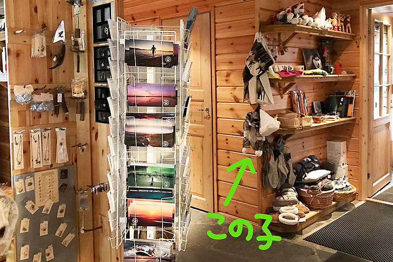 レセプション横の売店でひっそり売られていました