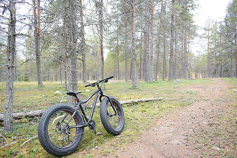 道があるようでないような森のなかをファットバイクで散策です