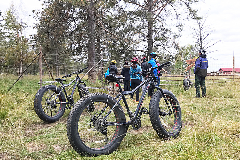 馬やトナカイがいる牧場に立ち寄りました