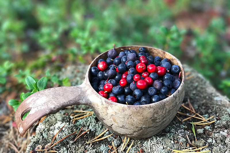 ベリー摘みはフィンランドの定番アクテビティ