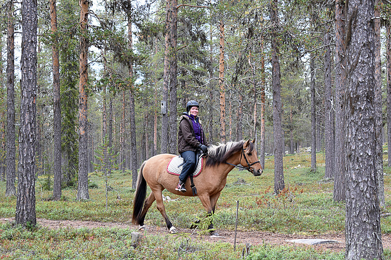 ふと頭をあげると馬に乗った人が現われてびっくり