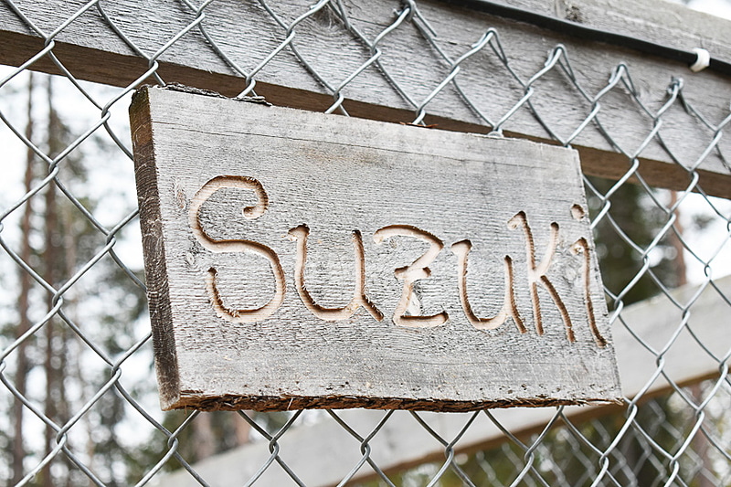 たくさんいるので名前を付けるのも大変。クルマの名前シリーズで「スズキ」も！