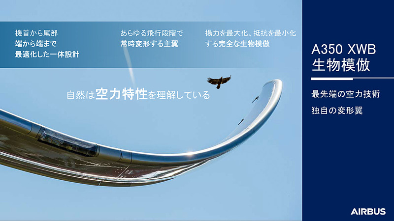 鳥をイメージして設計したという新たな主翼は、独特のウィングレットで、飛行状態に合わせて常に最適な形になる