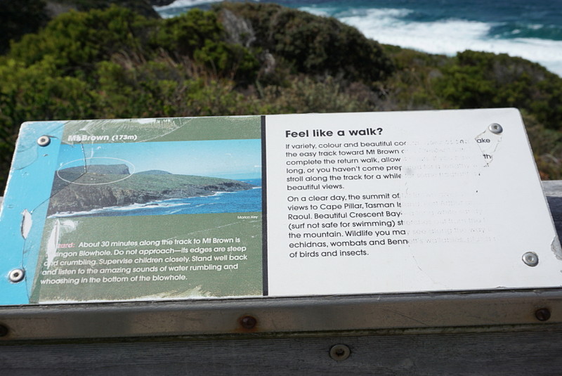 ポート・アーサー史跡地区に行く際に立ち寄ったメインゴン湾展望台（Maingon Bay Lookout）。タスマニアの自然と雄大な景色が一望できる