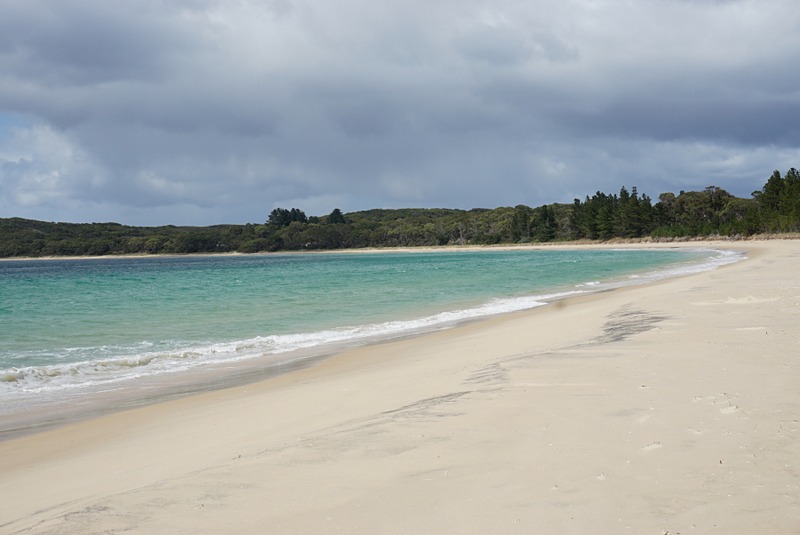タスマニア島は美しいビーチでも有名。訪れたのは真夏だったが、海水温は低めで海水浴をしている人は見受けられなかった