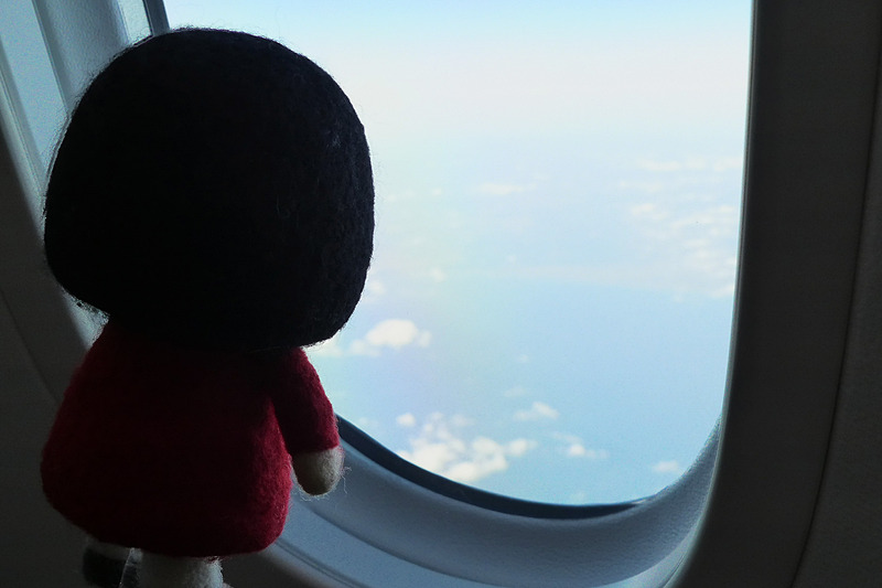 窓が大きいのが特徴なんですって