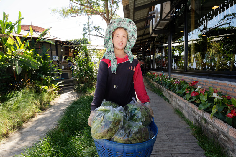 レストランの目の前の農園で収穫した野菜が、次々にレストランに運ばれていくのを見ることができる
