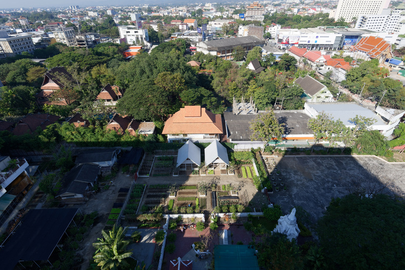 ホテル屋上から見下ろした農園（中央下）