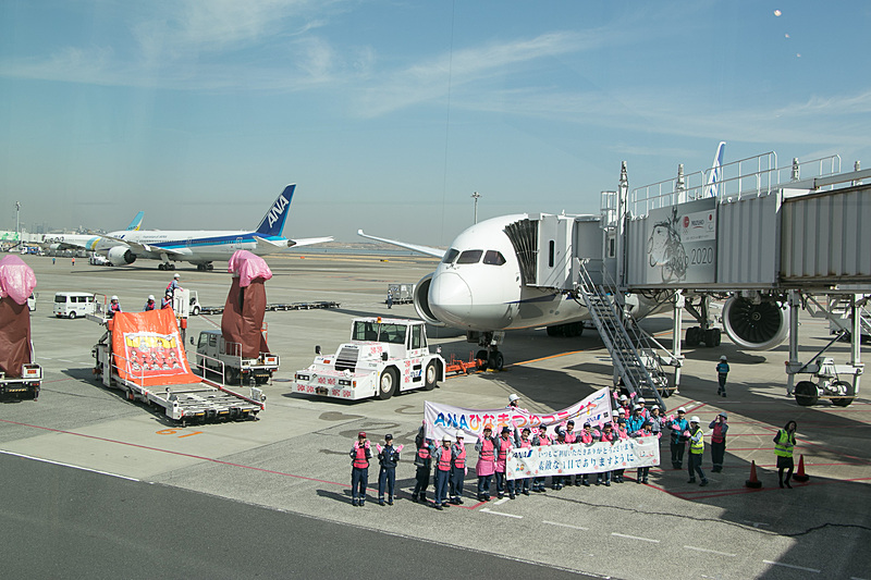 地上に水で書いた文字は「ひなまつり 2018 3.3」