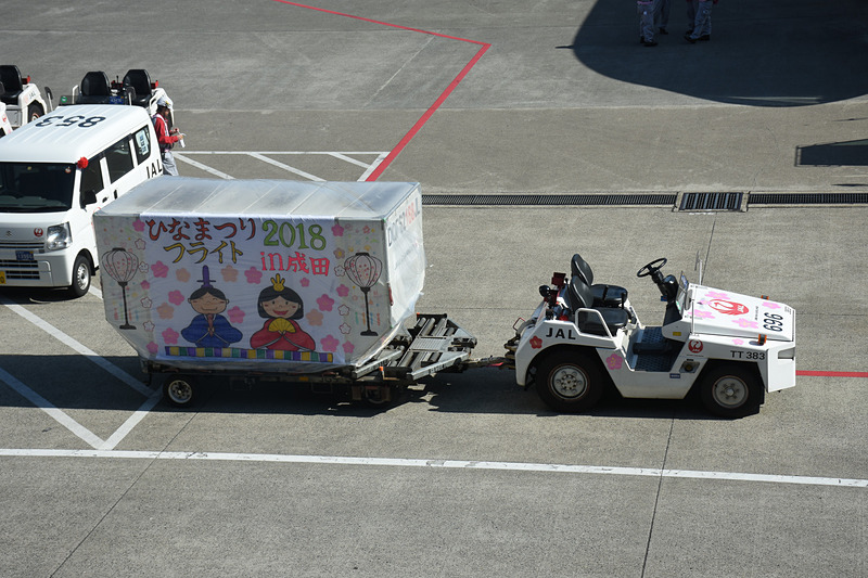 スポットで搭乗を待つJL941便（ボーイング 767-300ER型機）。トーイングカーやトーイングトラクターにもひなまつり飾りを施してある
