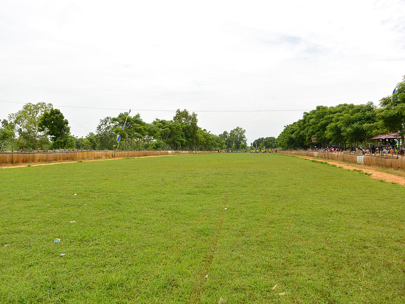競牛場は一面の芝生で、両端に土がむき出した細い道が付いていた