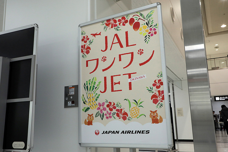 2018年も実施されたJALの「ワンワンJETツアー」。チャーター便は成田空港発