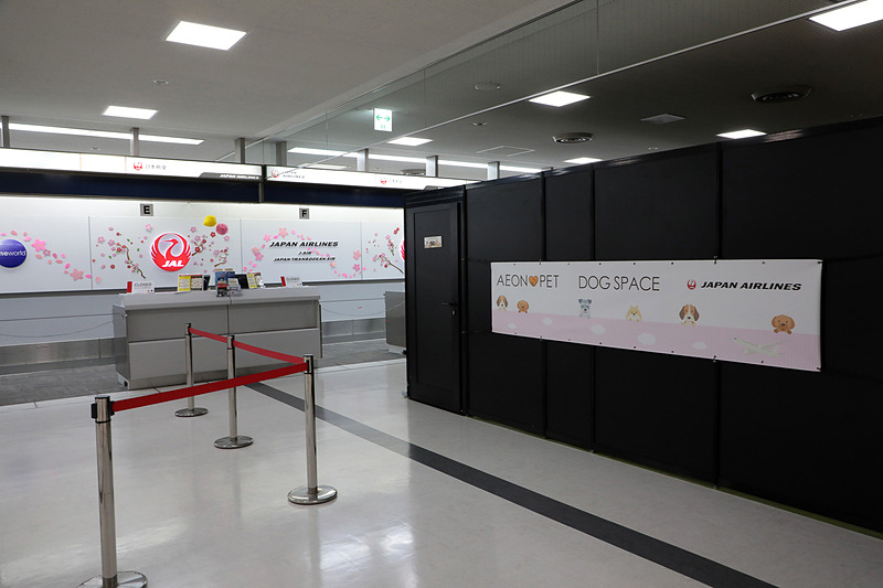 2018年も実施されたJALの「ワンワンJETツアー」。チャーター便は成田空港発