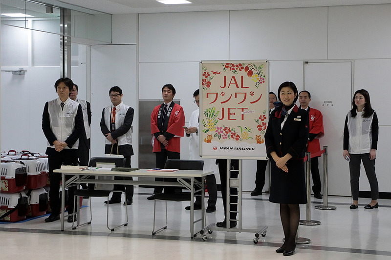 成田国際空港の第2ターミナル 国内線チェックインカウンター付近に設けられたツアー用の受け付け。受付開始時刻前から参加者が続々と到着