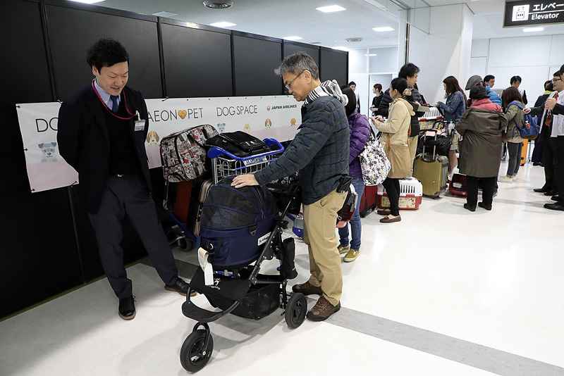 受け付けを終えて、キャリーを預け入れるため、ツアー専用のクレート（機内用のキャリーケース）に愛犬を移すためブースへ移動