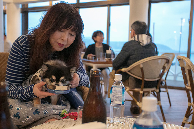 パーティ開始を待つワンちゃん。ほえたりケンカしたりすることはまったくなかった