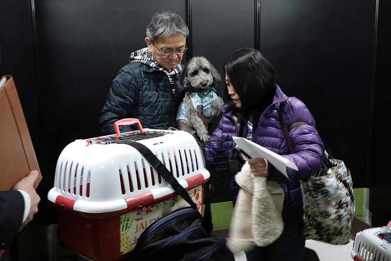 ブースの1部屋目は水飲みやペットシーツ、機内用のペット用オムツが用意されていた。ここで準備をして、2部屋目の撮影ブースへ入る