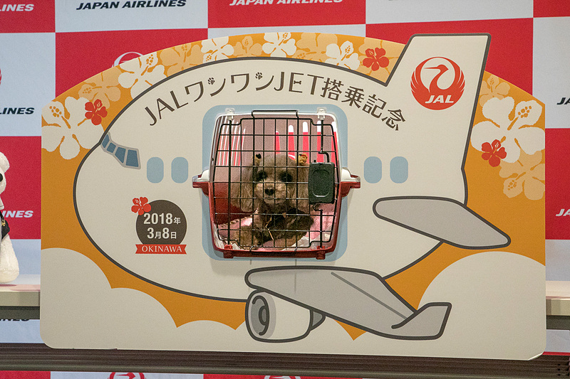 保安検査が終わるとゲート前へ移動。待合スペースにも記念撮影用のボードが用意されている。このボードはクレートのサイズに合わせた穴が開いていて、合わせるとボードから愛犬が顔をのぞかせる形になる