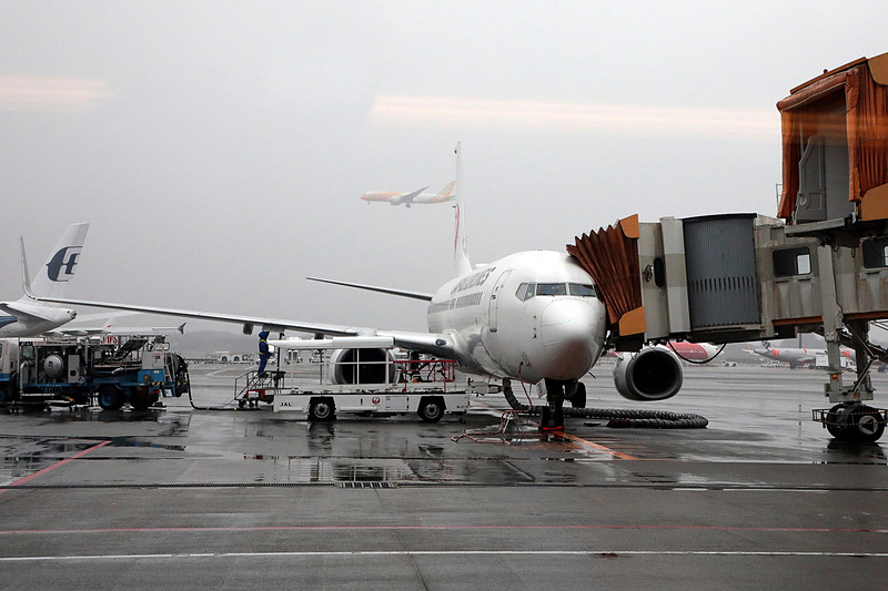 このツアーではチャーター便を使用。那覇空港到着後は乗客なしで成田へ戻り、機内の清掃を徹底的に行なったあと、通常運航に使用される