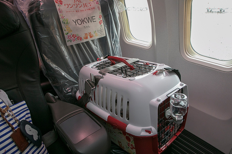 窓側の座席が愛犬用。クレートごとシートベルトで固定する。シートはまるごとビニールで覆われている