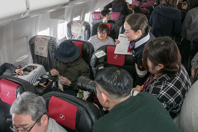 離陸後、シートベルトサインが消えると愛犬をクレートから出してもよい時間が設けられた。ワンちゃん用のJALの制服風衣装が配られ、それを着て、同行するプロカメラマンによる記念撮影が行なわれた