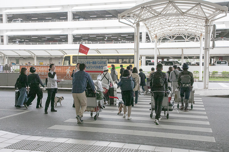 ツアーはレンタカーもセットになっているので、那覇空港からは自走でオクマ プライベートビーチ＆リゾートへ向かう