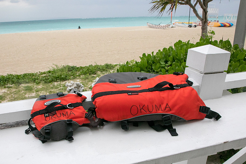 マリンスポーツや海水浴用に犬用ライフジャケットの貸し出しもある