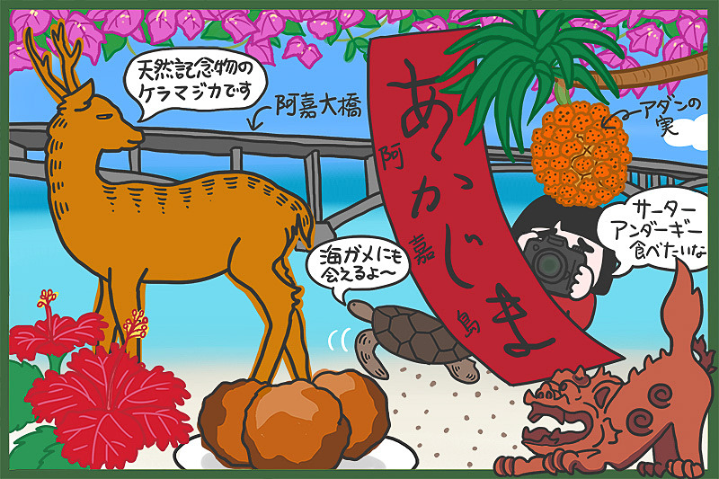 沖縄観光コンベンションビューロー主催の「座間味・阿嘉島メディアツアー」に参加してきました