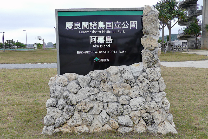 ここ阿嘉島も2014年に指定された慶良間諸島国立公園