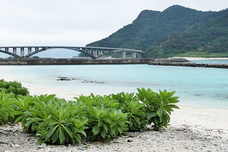 メーヌハマ。しつこいようですが晴れているときをご想像しながら見てください