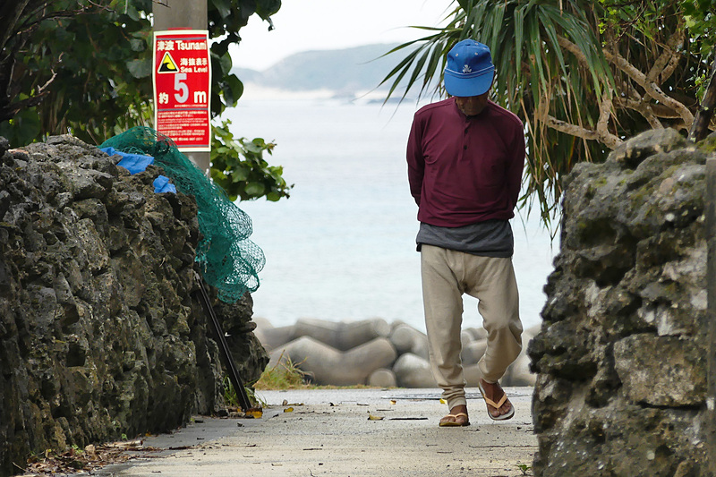 島の“おじい”“おばあ”がのんびり歩いていました