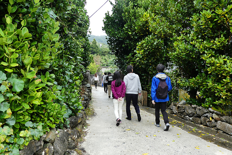 フクギが生い茂る石垣が沖縄っぽい