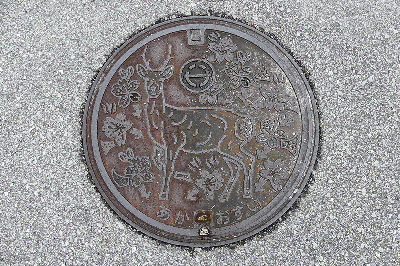 阿嘉島はやっぱりケラマジカ