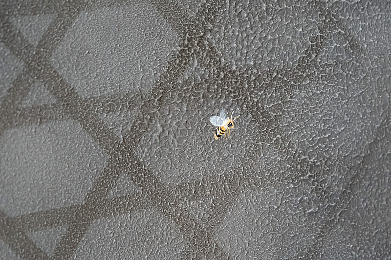 よく見ると小さなミツバチが描かれている。籠目というコーヒーチェリーを入れるカゴをイメージした文様を描いている