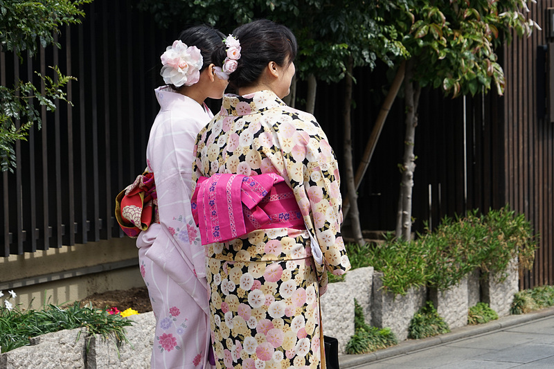 周辺に着物レンタルがあり、和服を楽しむ人を多く見かける