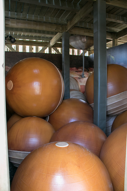 内部は巨大な昆虫のオブジェなどを盛り込んだアスレチックポイントが待ち構えている