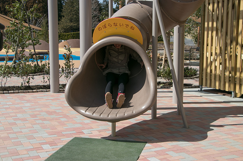 大人たちも童心に返って歓声を上げる