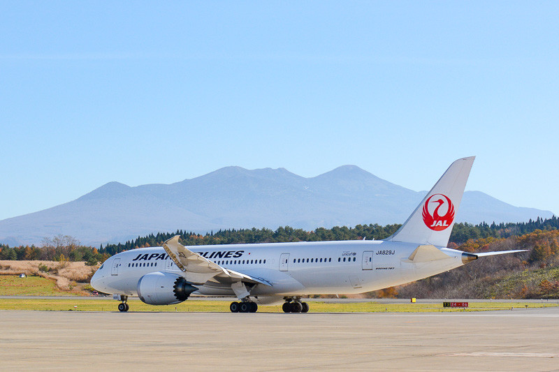 JALが2種類の「乗継割引28」を設定